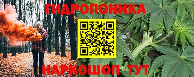 мяу мяу мука Камышлов